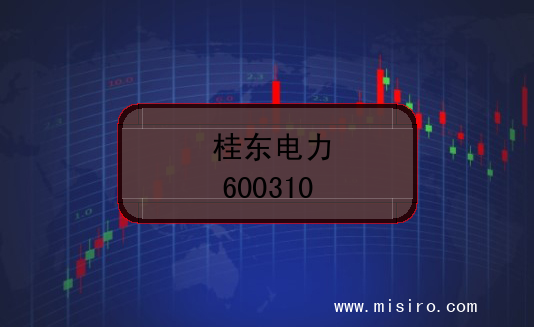 桂东电力股票代码(600310)